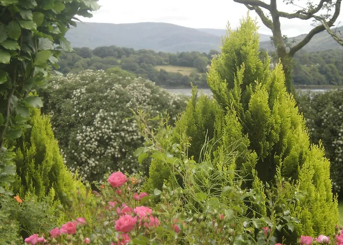 Abbey Court Отель *